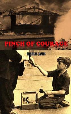 Book cover for Pinch of Courage