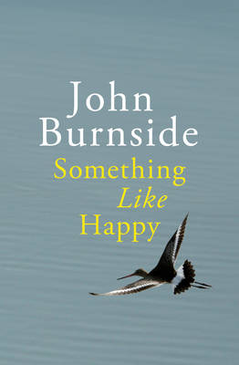 Book cover for Something Like Happy