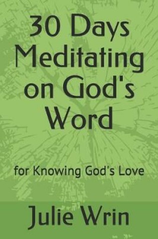 Cover of 30 Days Meditating on God's Word
