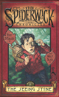 Book cover for Seeing Stone