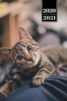 Cover of Bengal Cat Kitten Kitty Tomcat Week Planner Organizer 2020 / 2021 - Look in Love