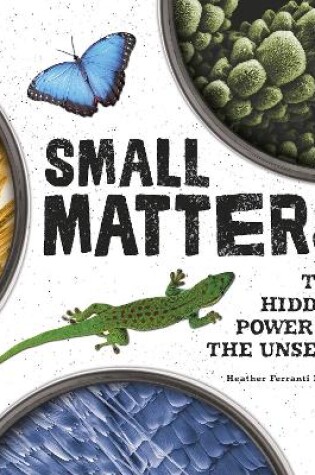 Cover of Small Matters