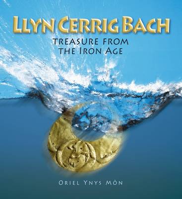 Book cover for Llyn Cerrig Bach
