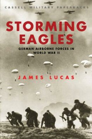 Cover of Storming Eagles