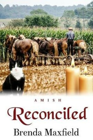 Cover of Reconciled
