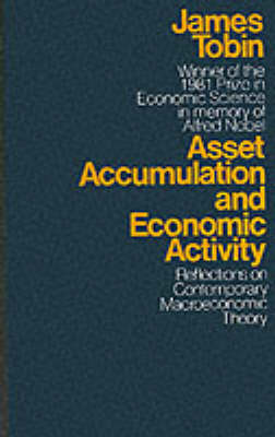 Book cover for Asset Accumulation and Economic Activity