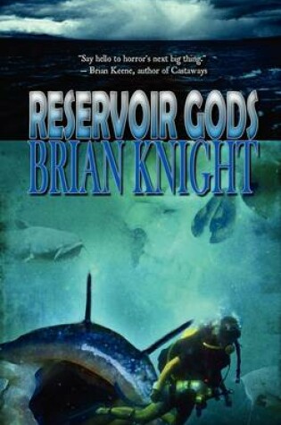Cover of Reservoir Gods