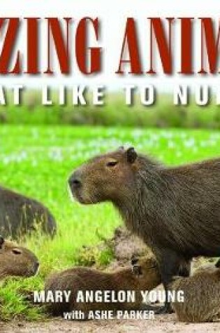 Cover of Amazing Animals