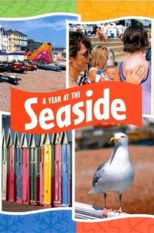 Cover of At The Seaside