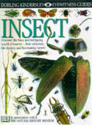 Book cover for DK Eyewitness Guides:  Insect