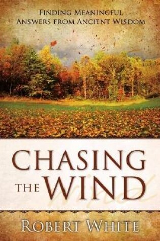 Cover of Chasing the Wind