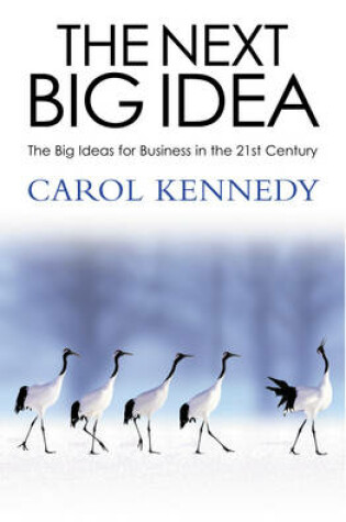 Cover of The Next Big Idea