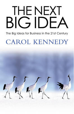 Book cover for The Next Big Idea