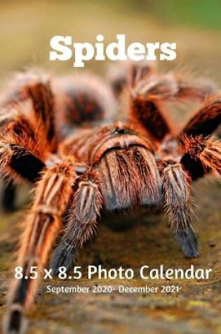 Cover of Spiders 8.5 X 8.5 Photo Calendar September 2020 -December 2021