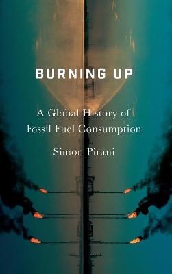 Book cover for Burning Up