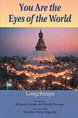 Book cover for You are the Eyes of the World