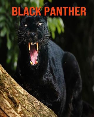 Book cover for Black Panther