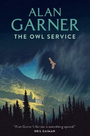 Cover of The Owl Service