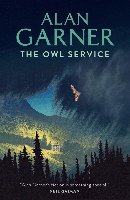 Book cover for The Owl Service