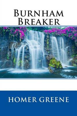 Book cover for Burnham Breaker