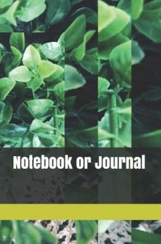 Cover of Notebook or Journal