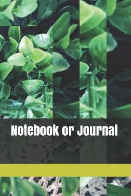 Book cover for Notebook or Journal