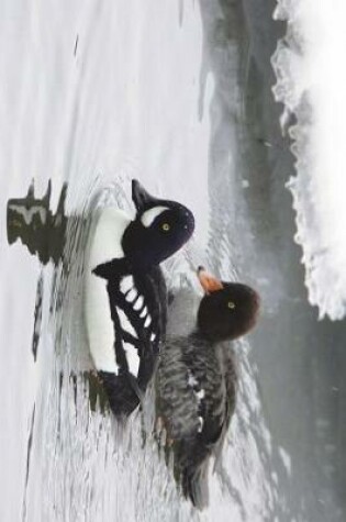 Cover of Barrow's Goldeneye Duck Male and Female Journal in Winter Journal