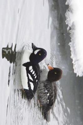 Book cover for Barrow's Goldeneye Duck Male and Female Journal in Winter Journal