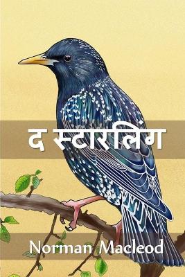 Book cover for द स्टारलिंग