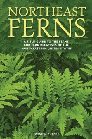 Cover of Northeast Ferns