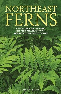 Book cover for Northeast Ferns