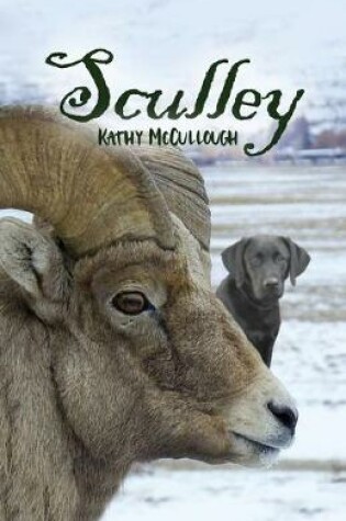Cover of Sculley