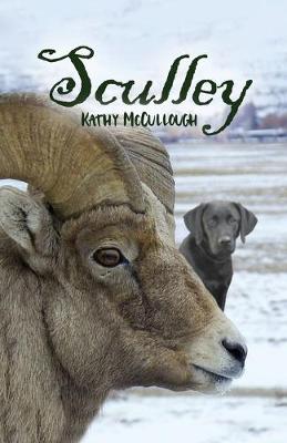 Book cover for Sculley