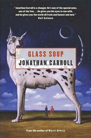 Cover of Glass Soup