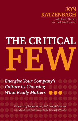 Book cover for The Critical Few