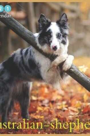 Cover of Australian-shepherd