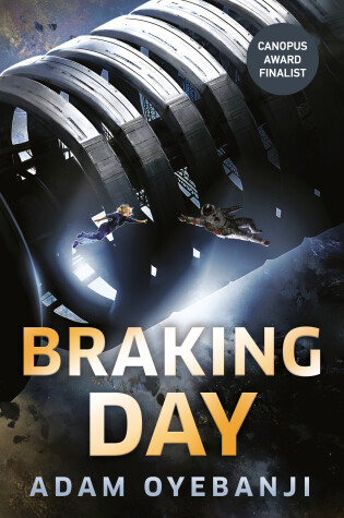 Cover of Braking Day