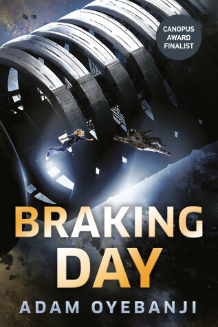 Book cover for Braking Day