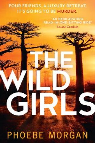 Cover of The Wild Girls