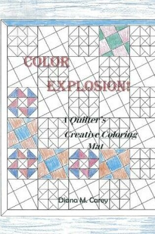 Cover of Color Explosions