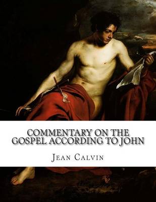 Book cover for Commentary on the Gospel According to John