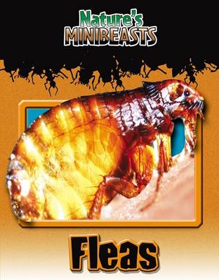 Cover of Fleas