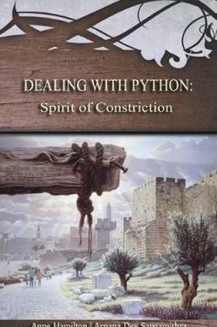 Cover of Dealing with Python