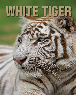 Book cover for White Tiger