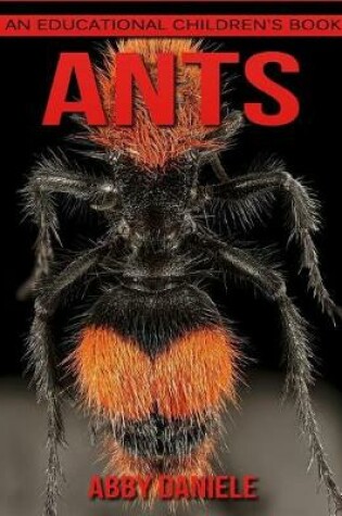 Cover of Ants! An Educational Children's Book about Ants with Fun Facts & Photos