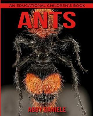 Book cover for Ants! An Educational Children's Book about Ants with Fun Facts & Photos