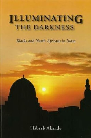 Cover of Illuminating the Darkness