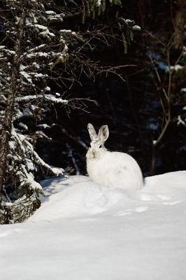 Book cover for Journal Wild Rabbit In Snow