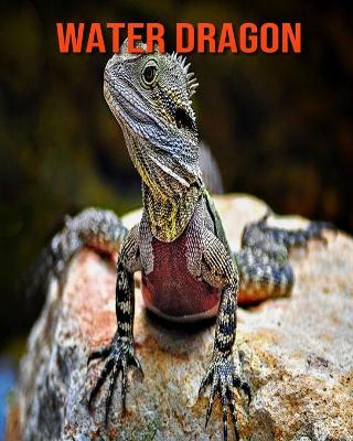 Book cover for Water Dragon