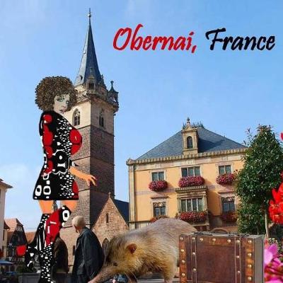 Book cover for Obernai, France